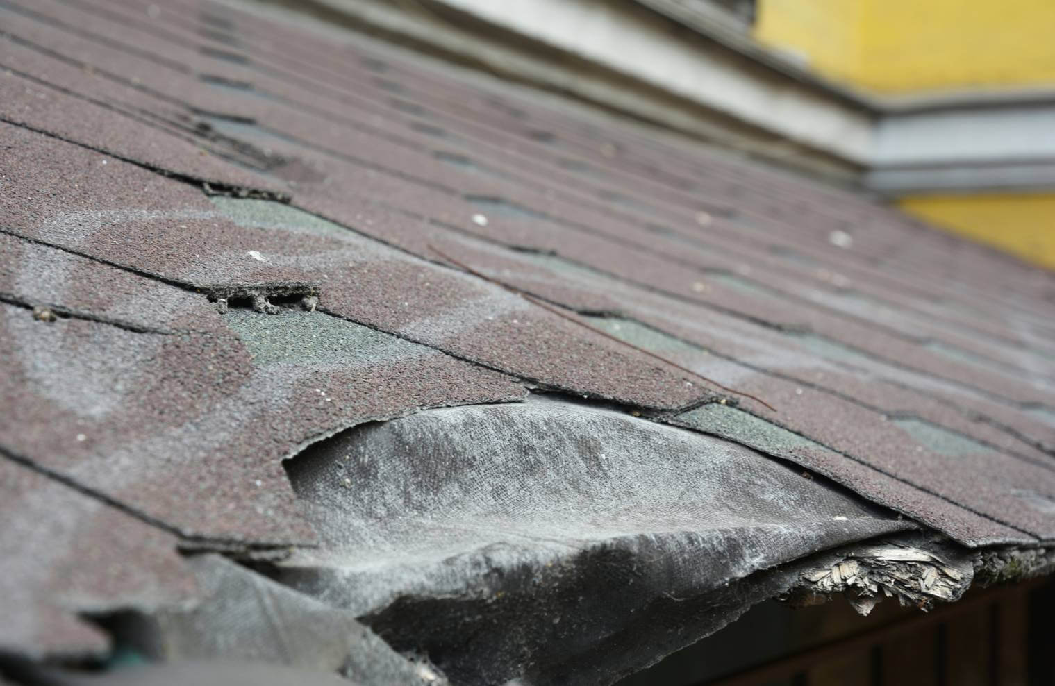 Renovation de toiture : Bien repérer les problèmes