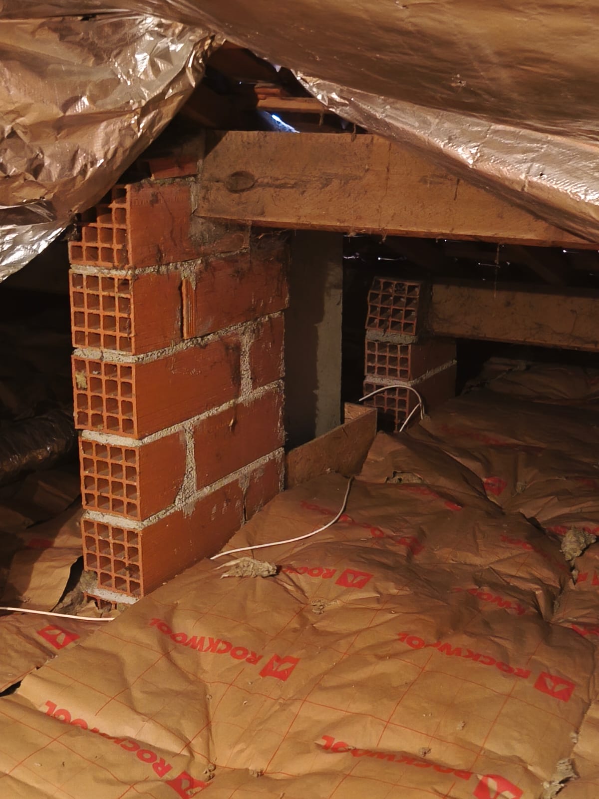 PHOTO-2025-11-10-07-00-13